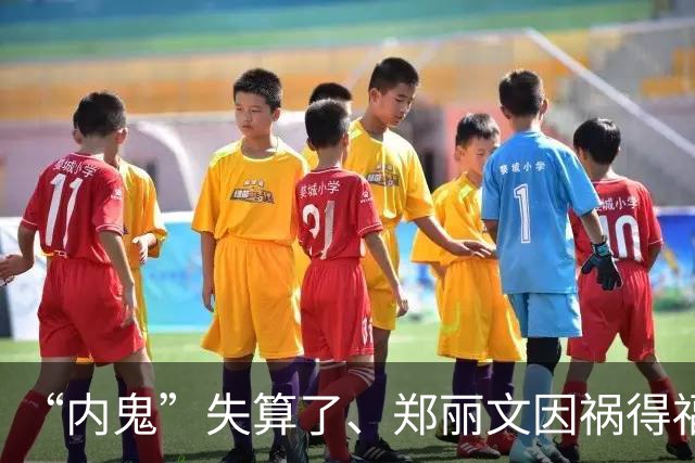 “内鬼”失算了、郑丽文因祸得福！卢秀燕却已开始准备“逼宫”了