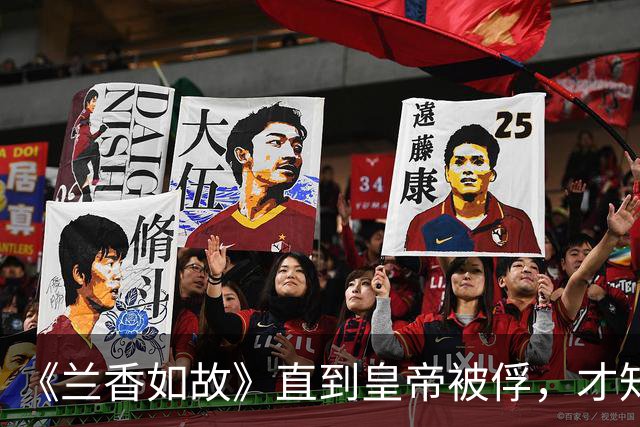 《兰香如故》直到皇帝被俘，才知林锦岐辞官，捡回一命，多亏兰香