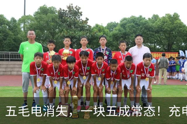 五毛电消失，一块五成常态！充电桩这门生意，终于撑不住了