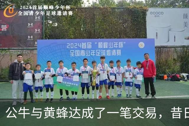 公牛与黄蜂达成了一笔交易，昔日森林狼乐透秀会在黄蜂获得机会？
