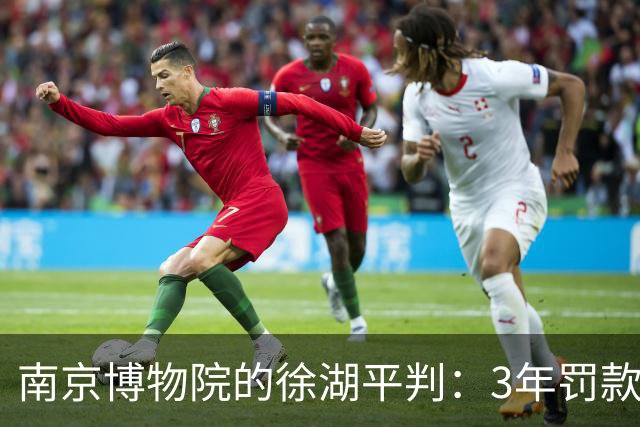 南京博物院的徐湖平判：3年罚款加罚款20万，但有一点我想不明白