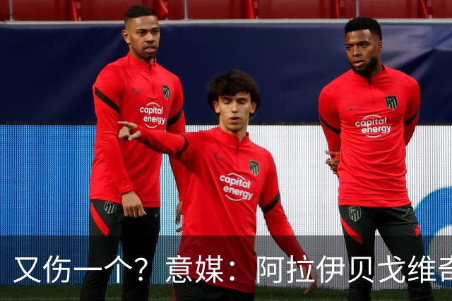 又伤一个？意媒：阿拉伊贝戈维奇在波黑比赛中因肌肉不适被换下