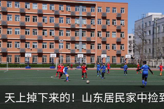 天上掉下来的！山东居民家中捡到一只，一查不简单