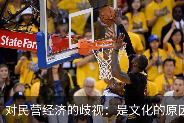 对民营经济的歧视：是文化的原因，还是意识形态的推动
