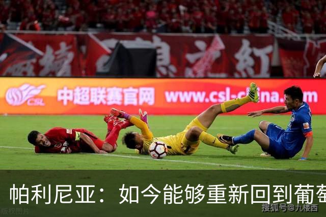 帕利尼亚：如今能够重新回到葡萄牙国家队，让我倍感喜悦