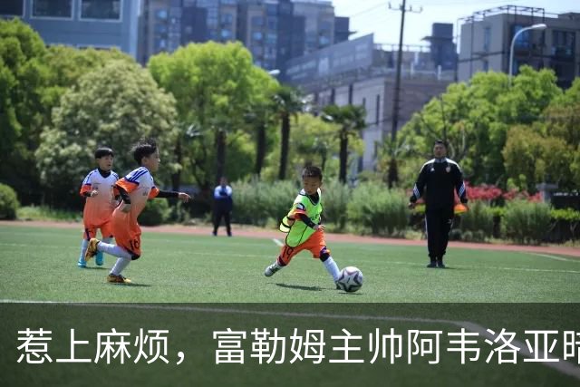 惹上麻烦，富勒姆主帅阿韦洛亚暗指裁判偏袒曼联，遭英足总指控