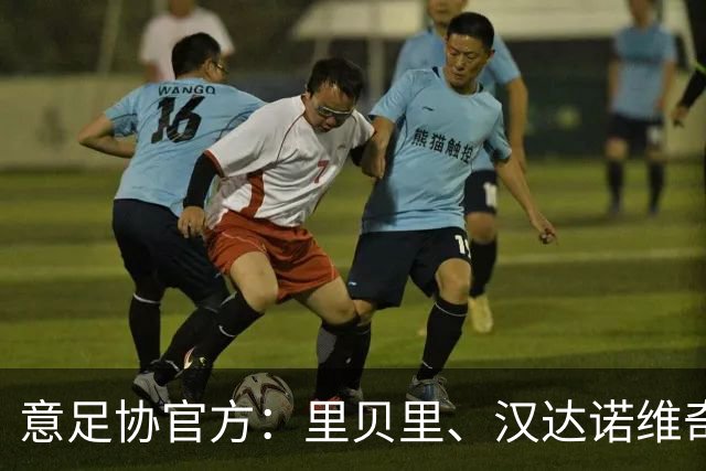 意足协官方：里贝里、汉达诺维奇，迪亚曼蒂等获欧足联职业教练证