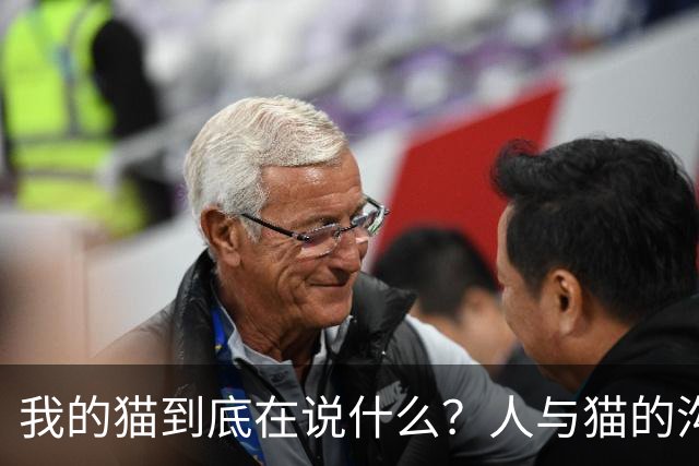 我的猫到底在说什么？人与猫的沟通秘诀