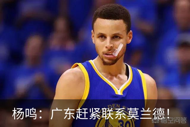 杨鸣：广东赶紧联系莫兰德！