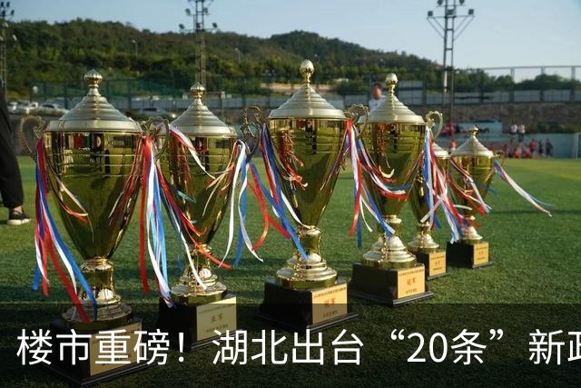 楼市重磅！湖北出台“20条”新政支持楼市发展！