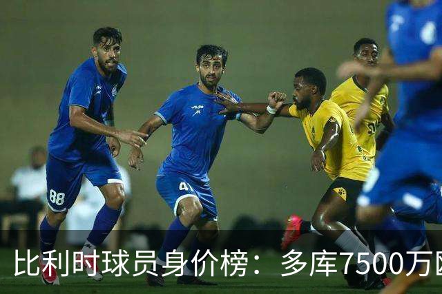 比利时球员身价榜：多库7500万欧居首，帕尔多5500万欧居次席
