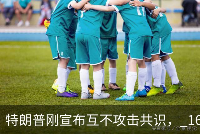 特朗普刚宣布互不攻击共识， 1600 架无人机就炸了莫斯科炼油厂。