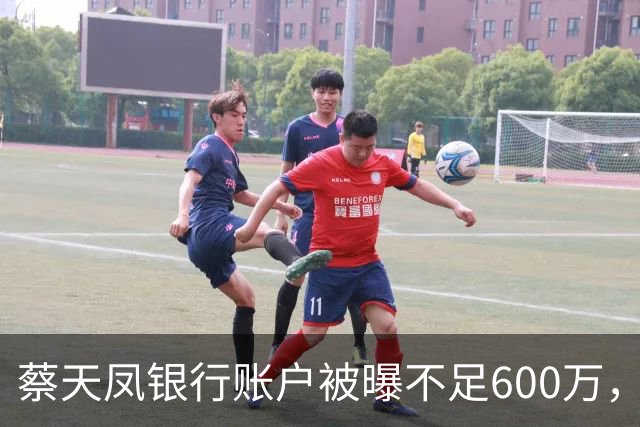 蔡天凤银行账户被曝不足600万，房产已抵押，蔡母称亲家给了三亿