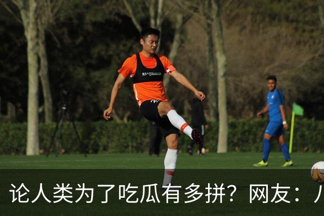 论人类为了吃瓜有多拼？网友：八卦是人之常情
