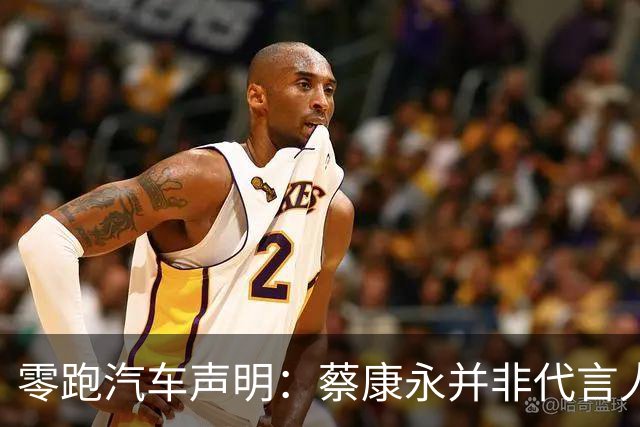 零跑汽车声明：蔡康永并非代言人，已下线与其相关的全部内容，坚决反对任何形式的“台独”分裂活动